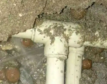 泰宁测漏水多少钱