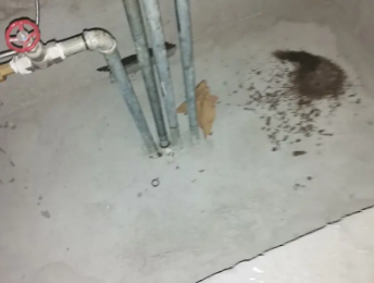 泰宁卫生间测漏水价格明细