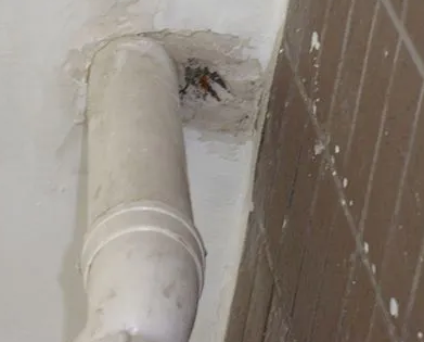 泰宁漏水检测哪家好